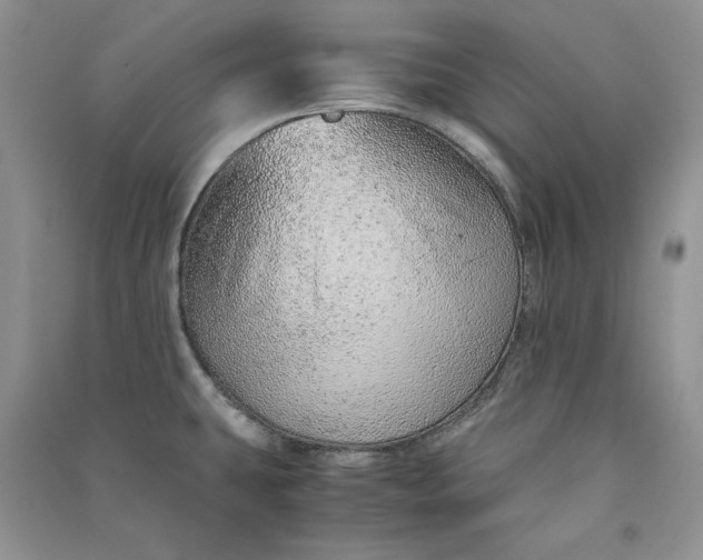 X0000090901431200708131343