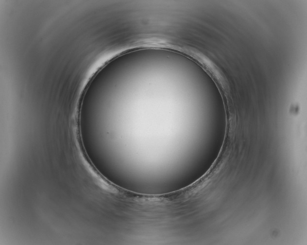 X0000090901432200708131343