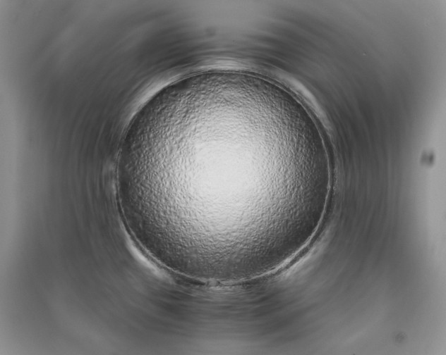 X0000090901433200708131343