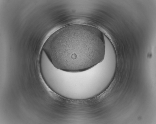 X0000090901434200708131343