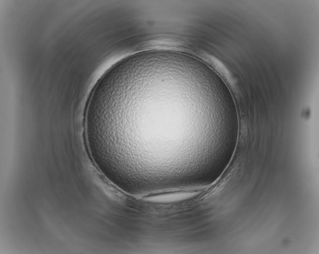 X0000090901435200708131343