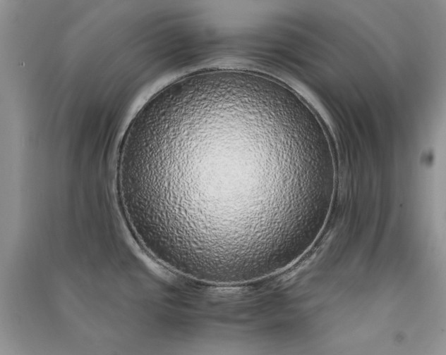 X0000090901437200708131343