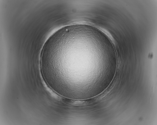 X0000090901439200708131343
