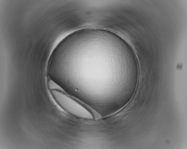 X0000090901440200708131343