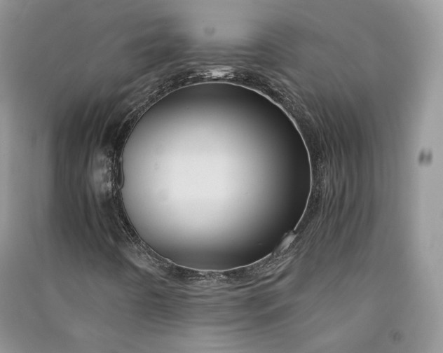 X0000090901442200708131343