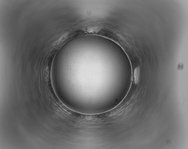 X0000090901443200708131343
