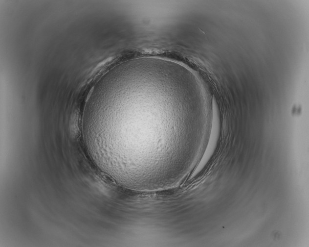 X0000090901444200708131343