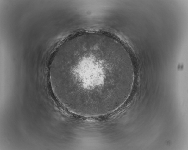 X0000090901445200708131343