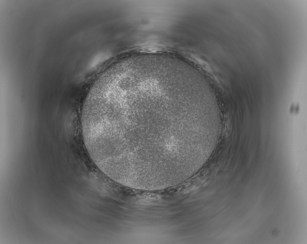 X0000090901446200708131343