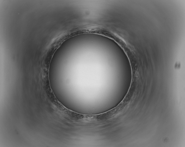 X0000090901447200708131343