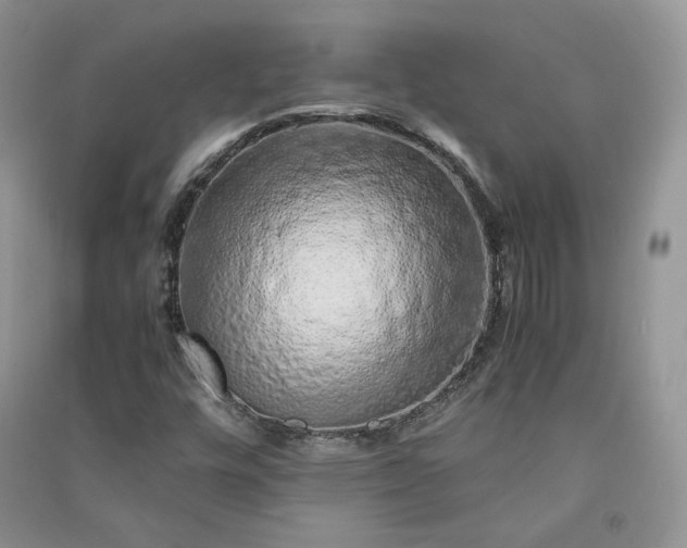 X0000090901448200708131343