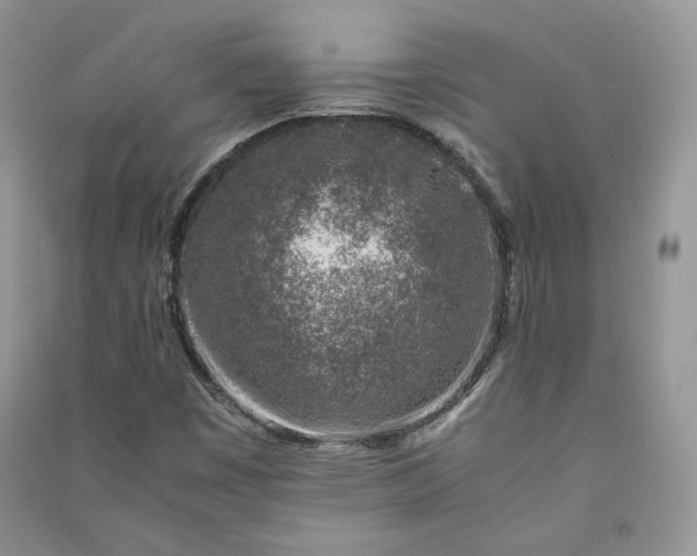 X0000090901449200708131343