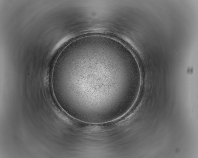 X0000090901450200708131343