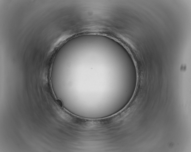 X0000090901451200708131343