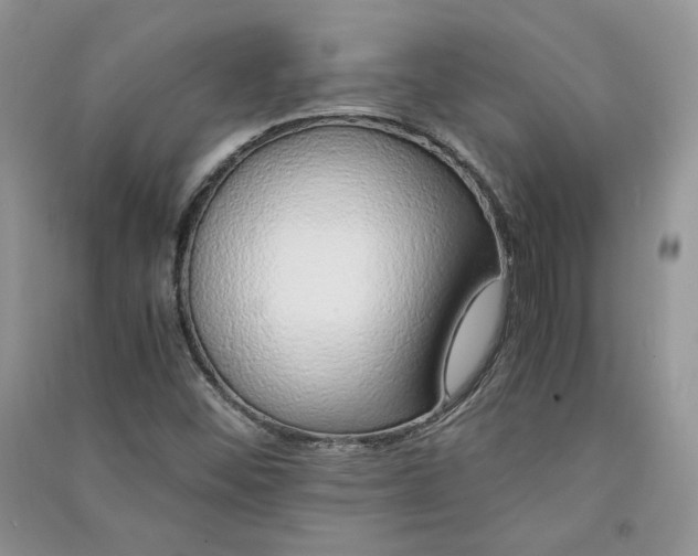 X0000090901452200708131343