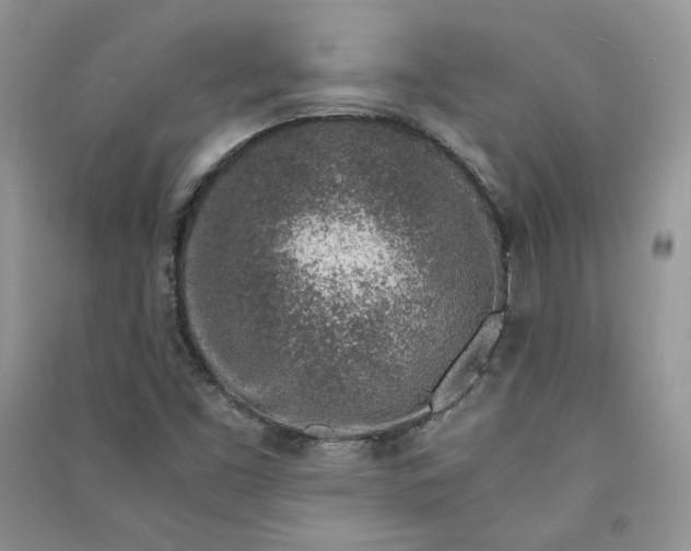 X0000090901453200708131343