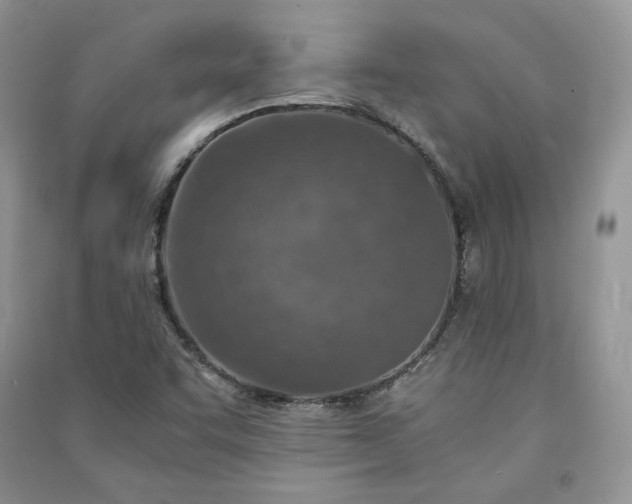 X0000090901455200708131343