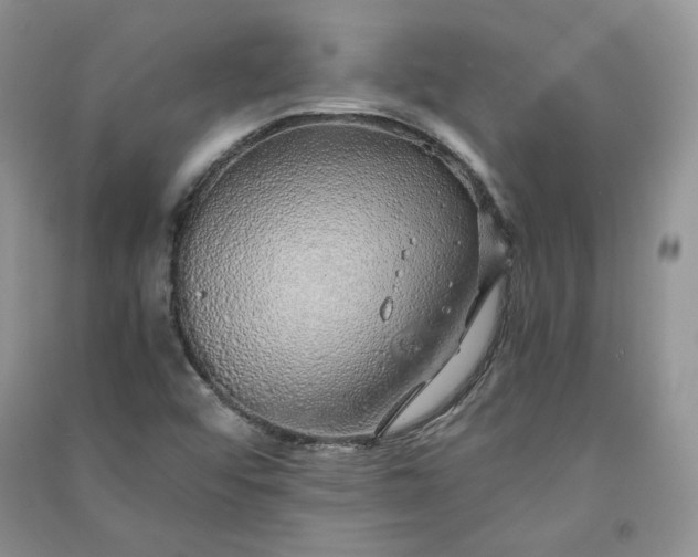 X0000090901456200708131343