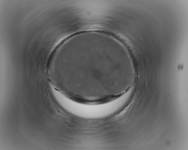 X0000090901457200708131343