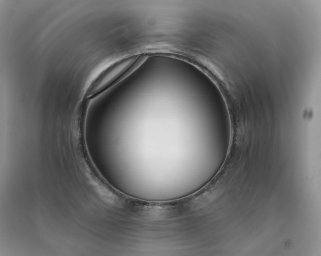 X0000090901458200708131343
