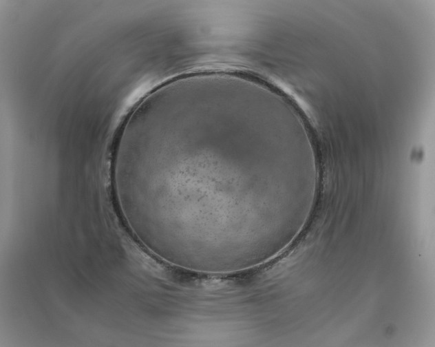 X0000090901459200708131343