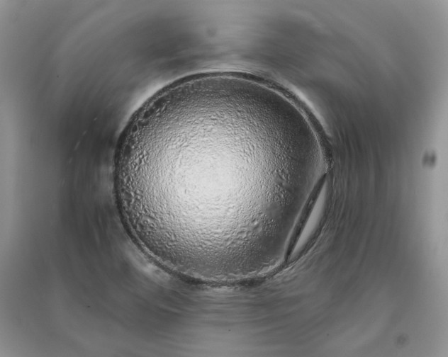 X0000090901460200708131343