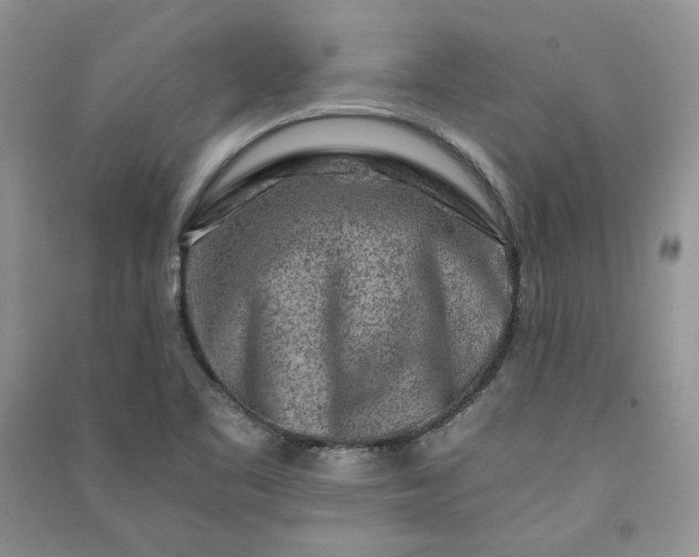 X0000090901461200708131343