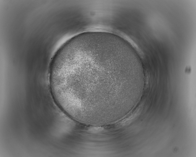 X0000090901462200708131343