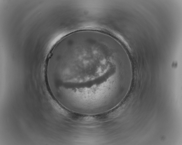 X0000090901463200708131343