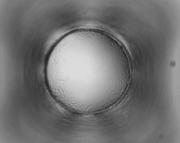 X0000090901464200708131342
