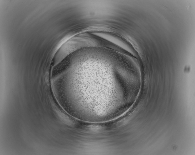 X0000090901465200708131342