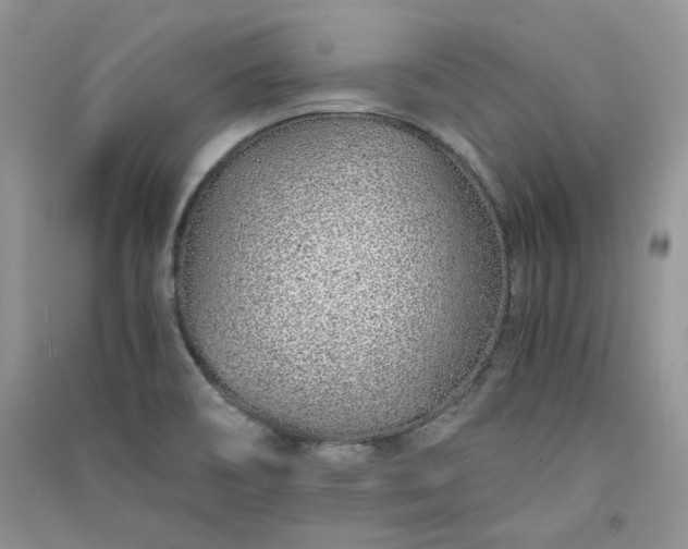 X0000090901466200708131342
