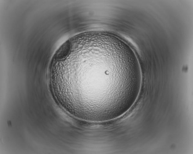 X0000090901467200708131342