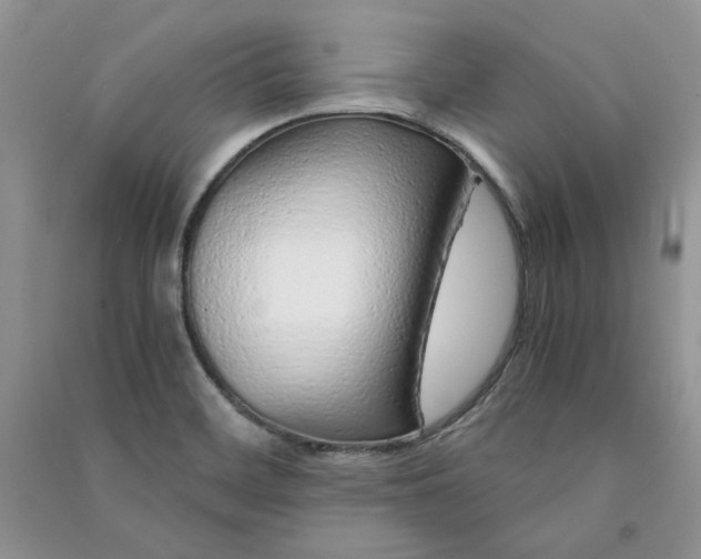 X0000090901468200708131342