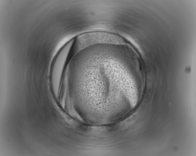 X0000090901469200708131342