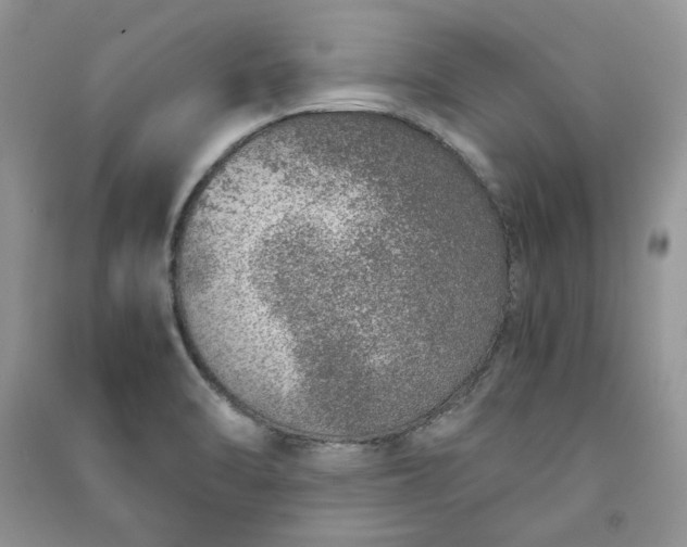 X0000090901470200708131342