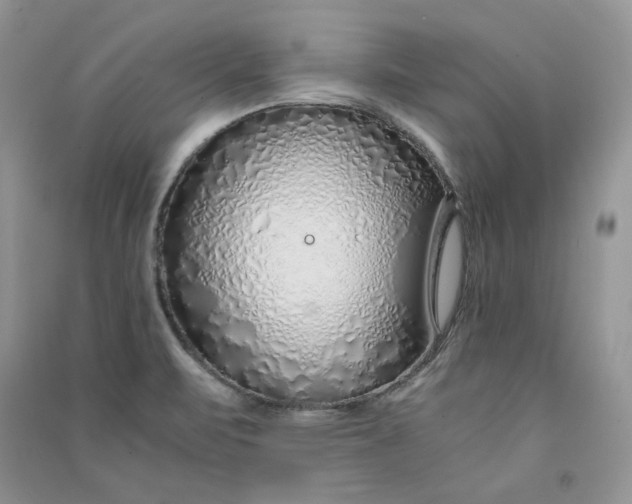 X0000090901471200708131342