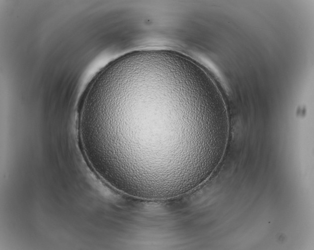 X0000090901472200708131342