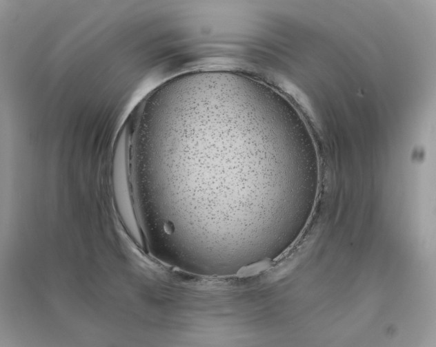 X0000090901473200708131342