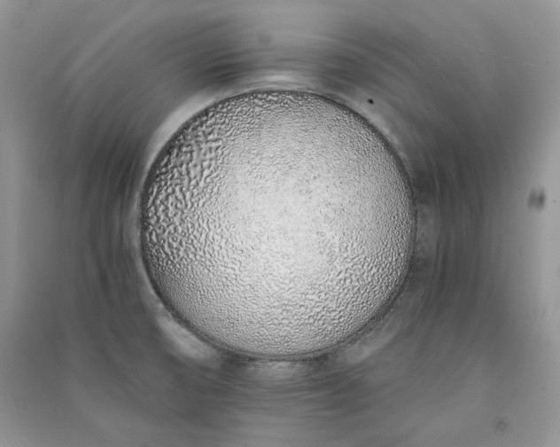 X0000090901474200708131342