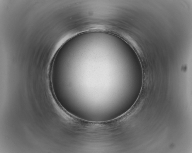 X0000090901475200708131342
