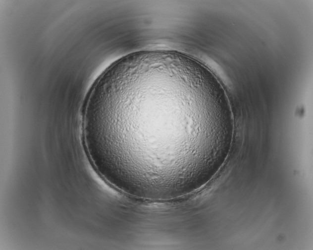 X0000090901476200708131342