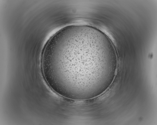 X0000090901477200708131342