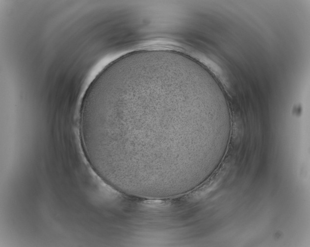 X0000090901478200708131342