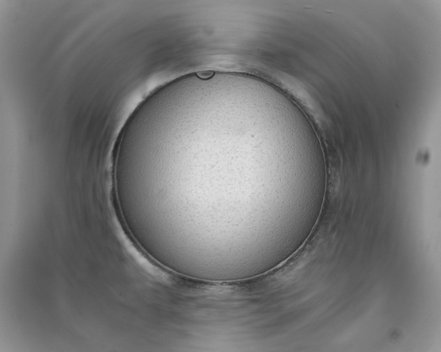 X0000090901479200708131342