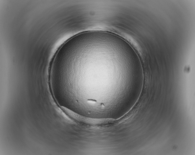 X0000090901480200708131342