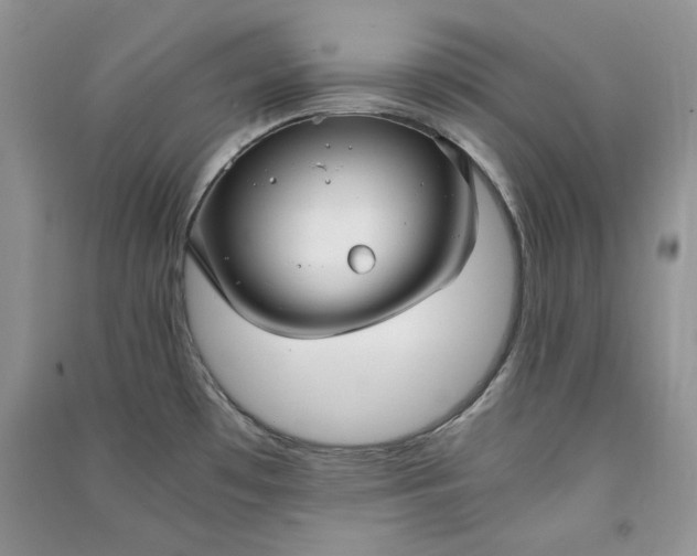 X0000090901481200708131342