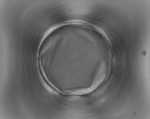 X0000090901482200708131342