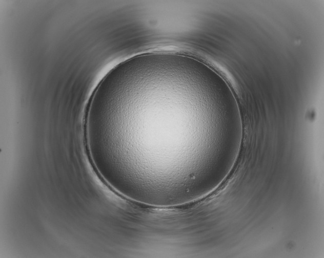 X0000090901483200708131342