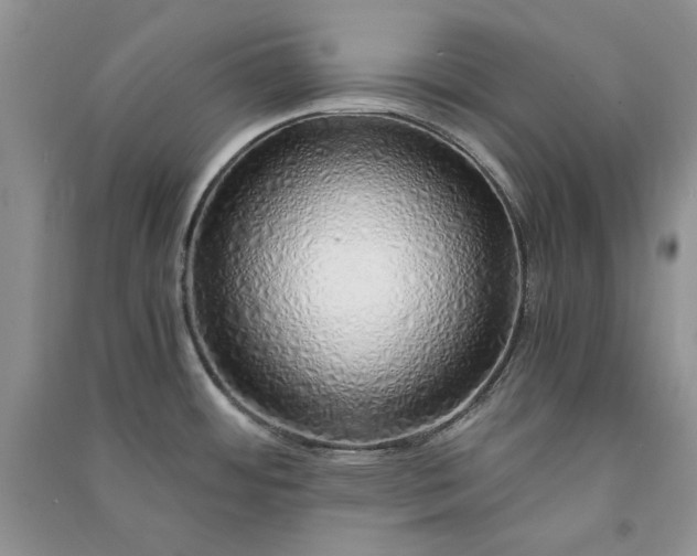 X0000090901484200708131342
